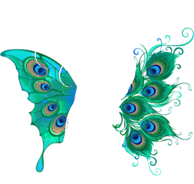 logo icon@1.2x